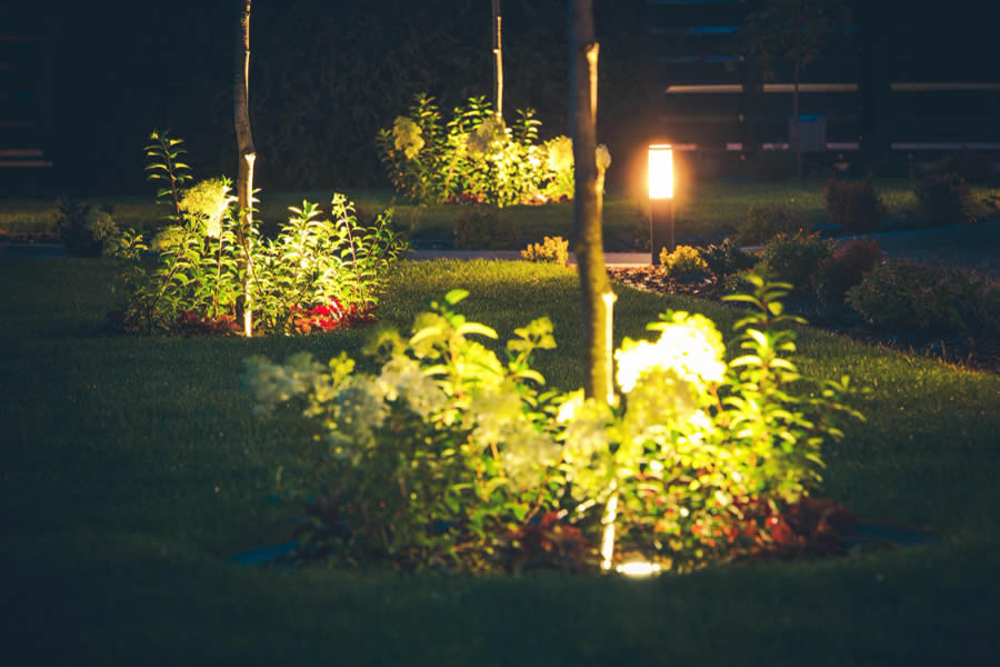 Landscape Lighting